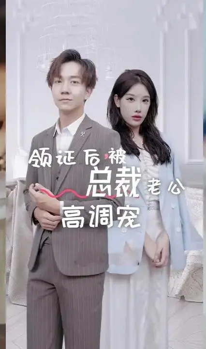 领证后，被总裁老公高调宠：极致甜蜜的契约婚姻