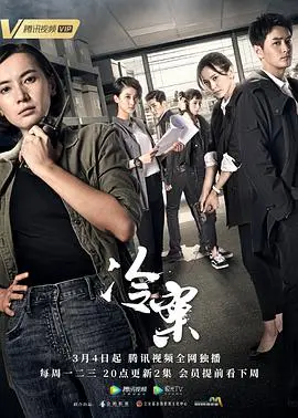 《冷案》：抽丝剥茧，揭开尘封的真相