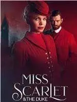 《天堂岛疑云 第十三季》：阳光下的罪恶，加勒比海的爆笑推理！最新季剧情前瞻